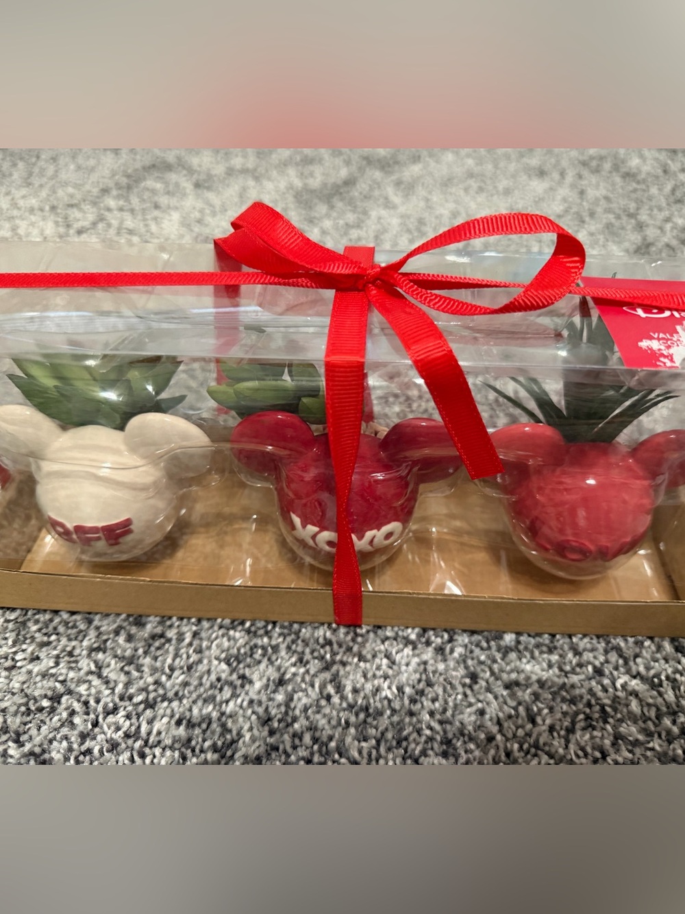 Valentine Mickey Ear Ceramic faux Planter Set with Red Ribbon